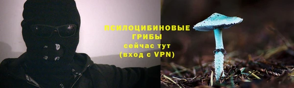 а пвп мука Богородицк