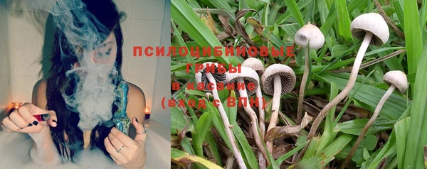 Альфа ПВП Богданович